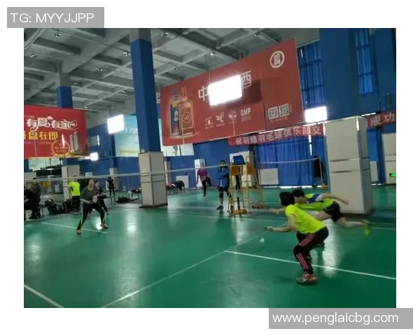 深圳羽毛球队的运营体系与战术分析探讨羽毛球竞技的成功之道